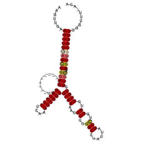 secondary structure