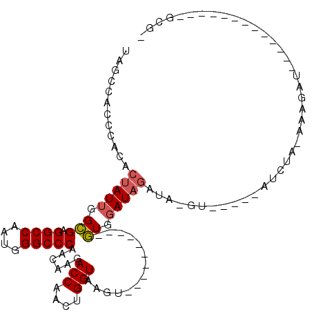 secondary structure