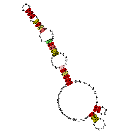 secondary structure