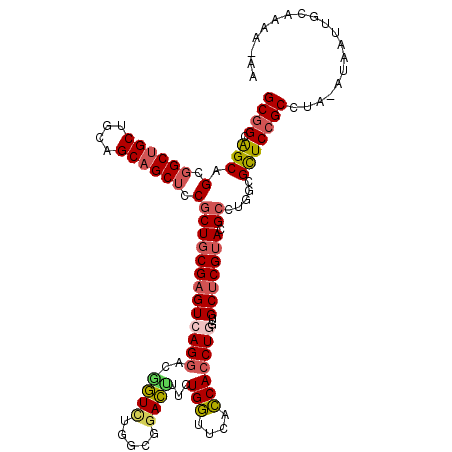 secondary structure