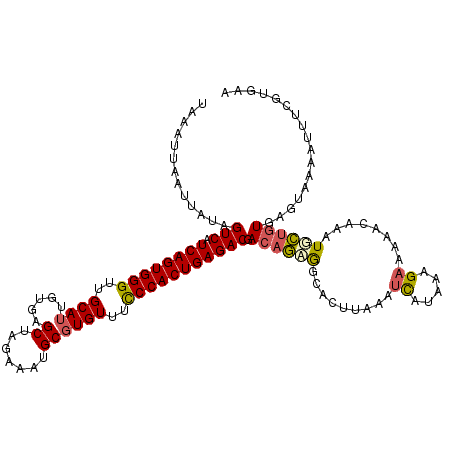 secondary structure
