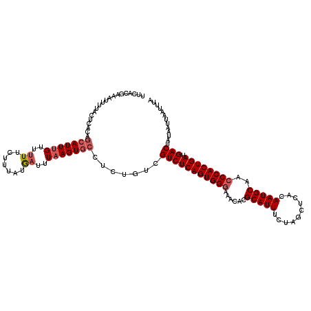 secondary structure