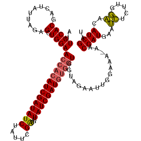 secondary structure