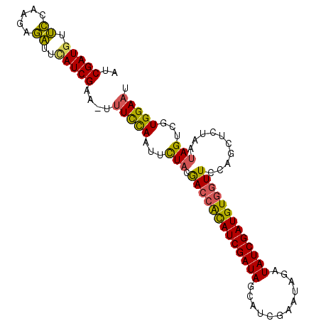 secondary structure