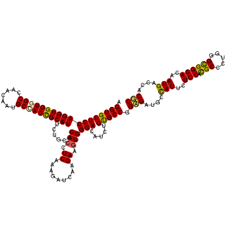 secondary structure