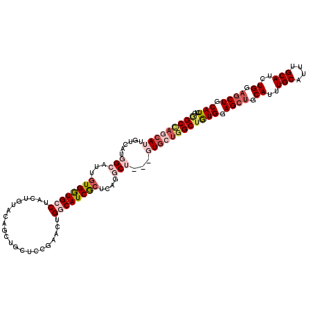 secondary structure
