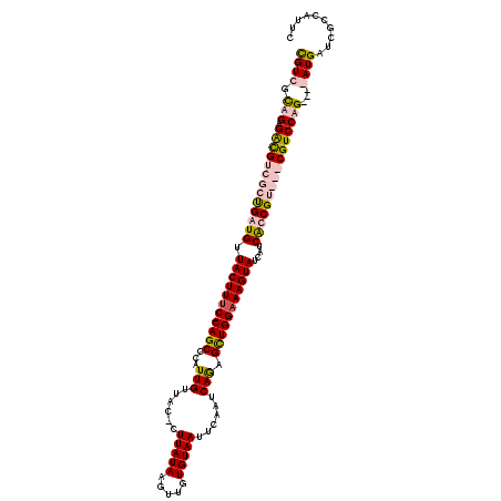 secondary structure