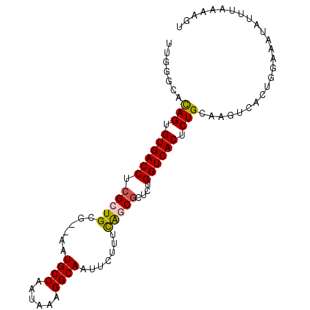 secondary structure
