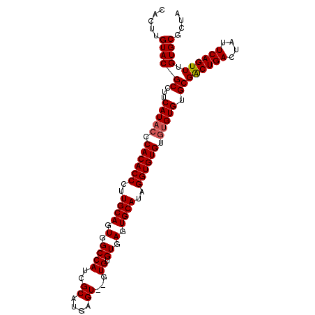 secondary structure