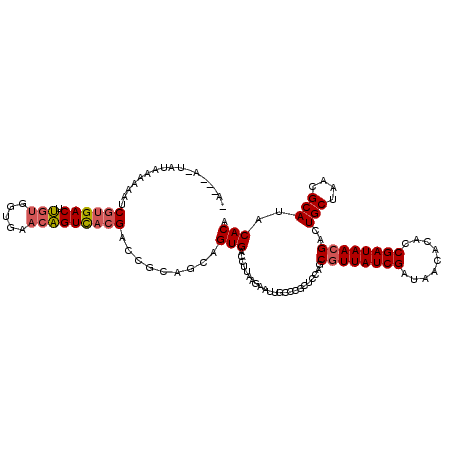 secondary structure