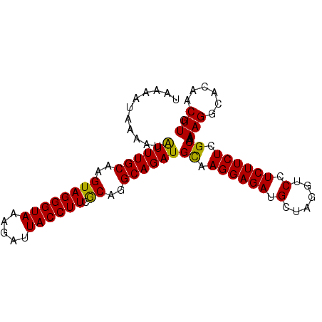 secondary structure