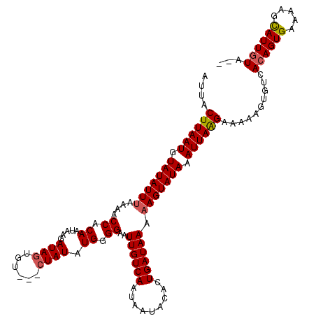 secondary structure
