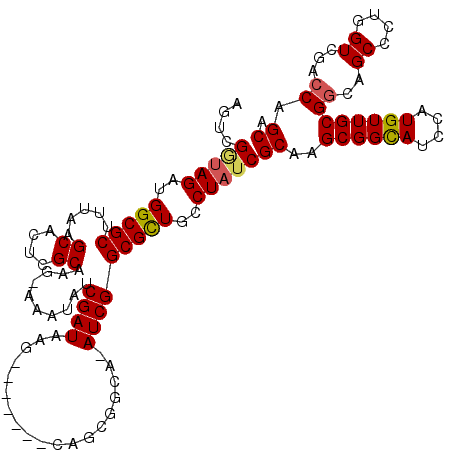 secondary structure