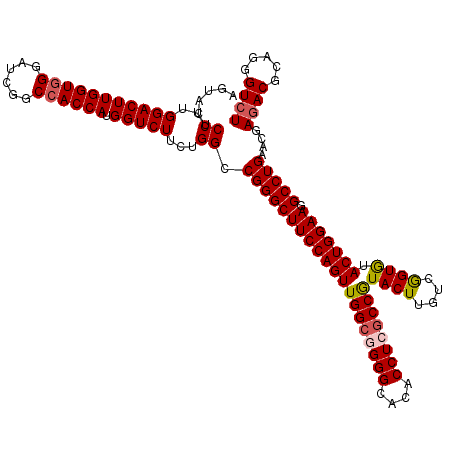 secondary structure