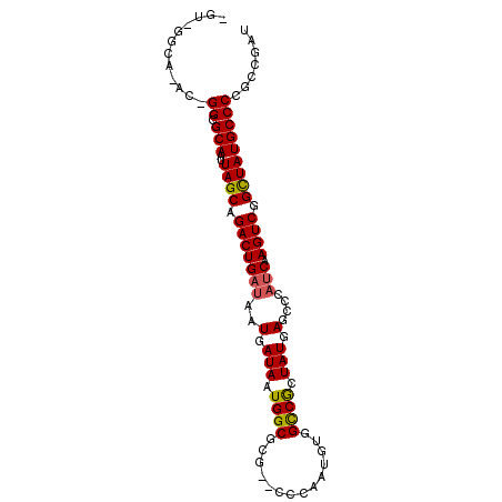 secondary structure