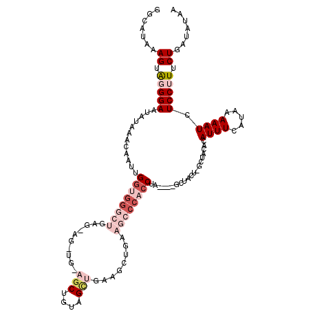 secondary structure