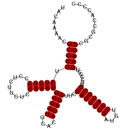secondary structure