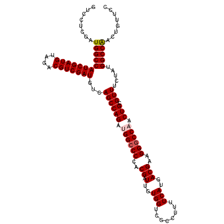 secondary structure