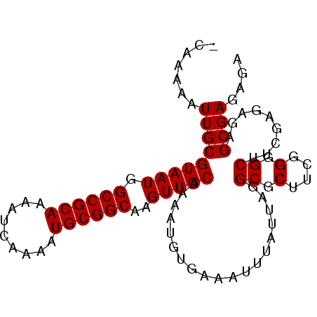 secondary structure