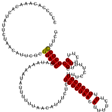 secondary structure
