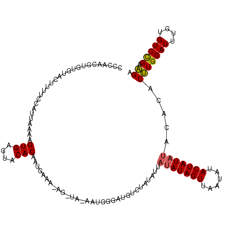 secondary structure
