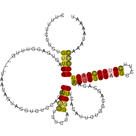 secondary structure
