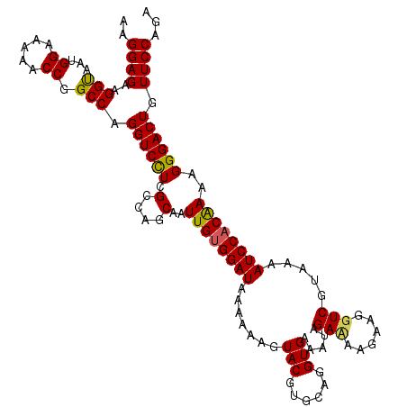 secondary structure
