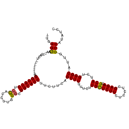 secondary structure