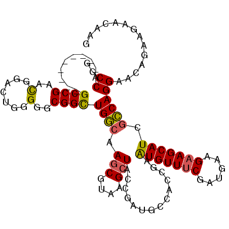 secondary structure