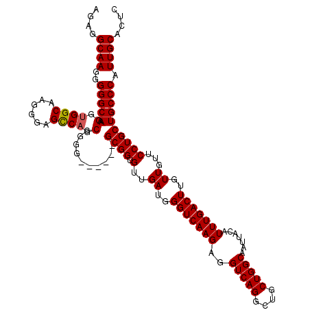 secondary structure