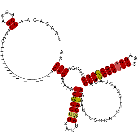 secondary structure