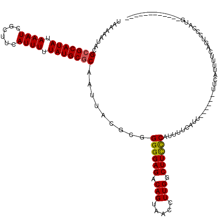 secondary structure