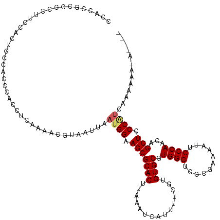 secondary structure