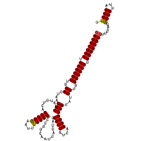 secondary structure