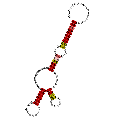 secondary structure