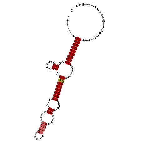 secondary structure