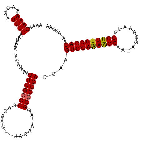 secondary structure