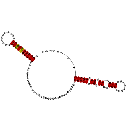 secondary structure