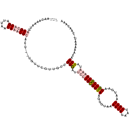 secondary structure