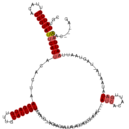secondary structure