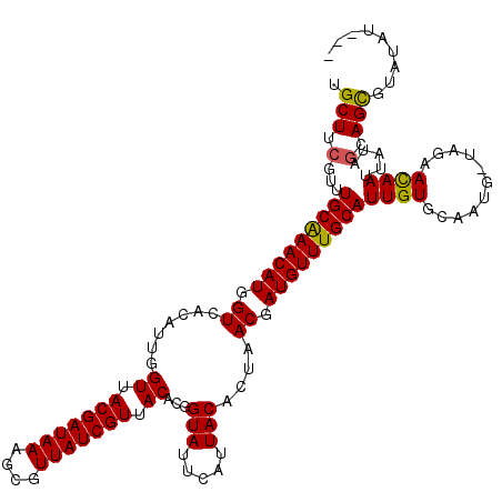 secondary structure