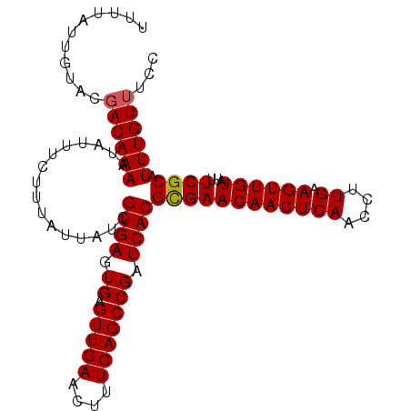 secondary structure