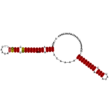 secondary structure