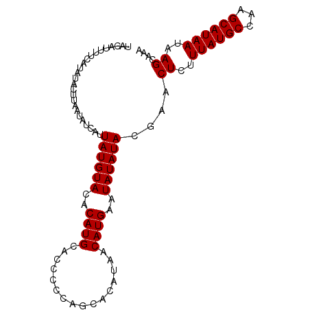 secondary structure