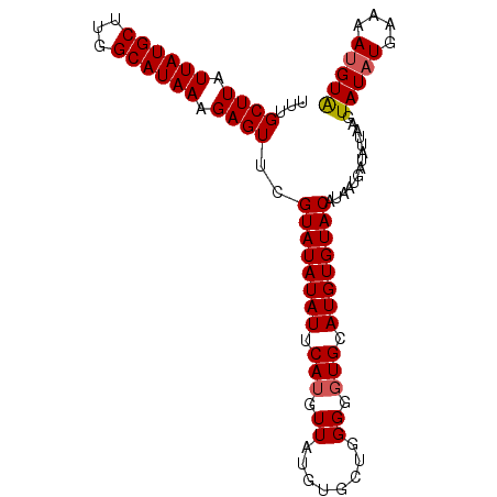 secondary structure