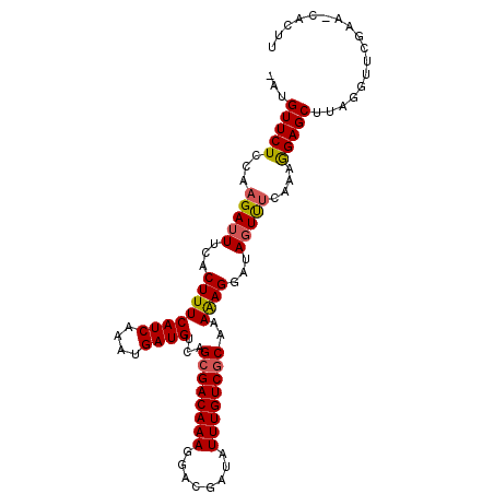 secondary structure
