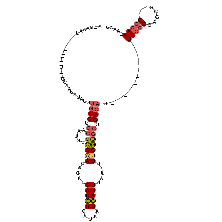 secondary structure