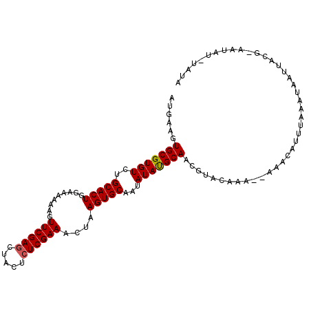 secondary structure