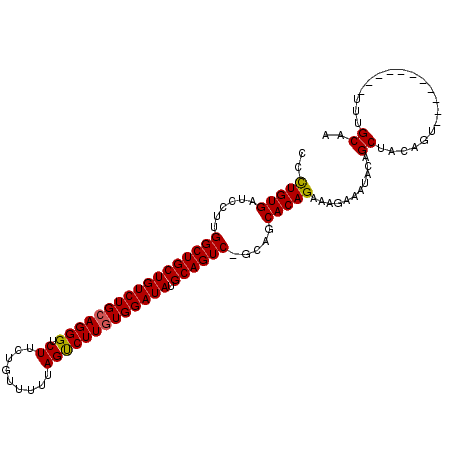 secondary structure