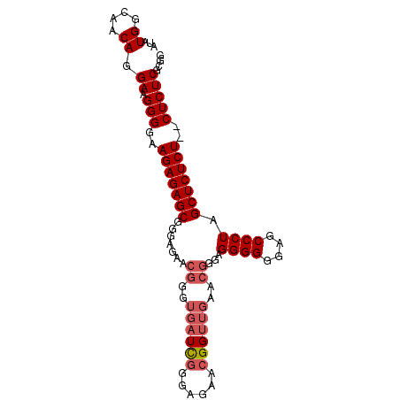 secondary structure